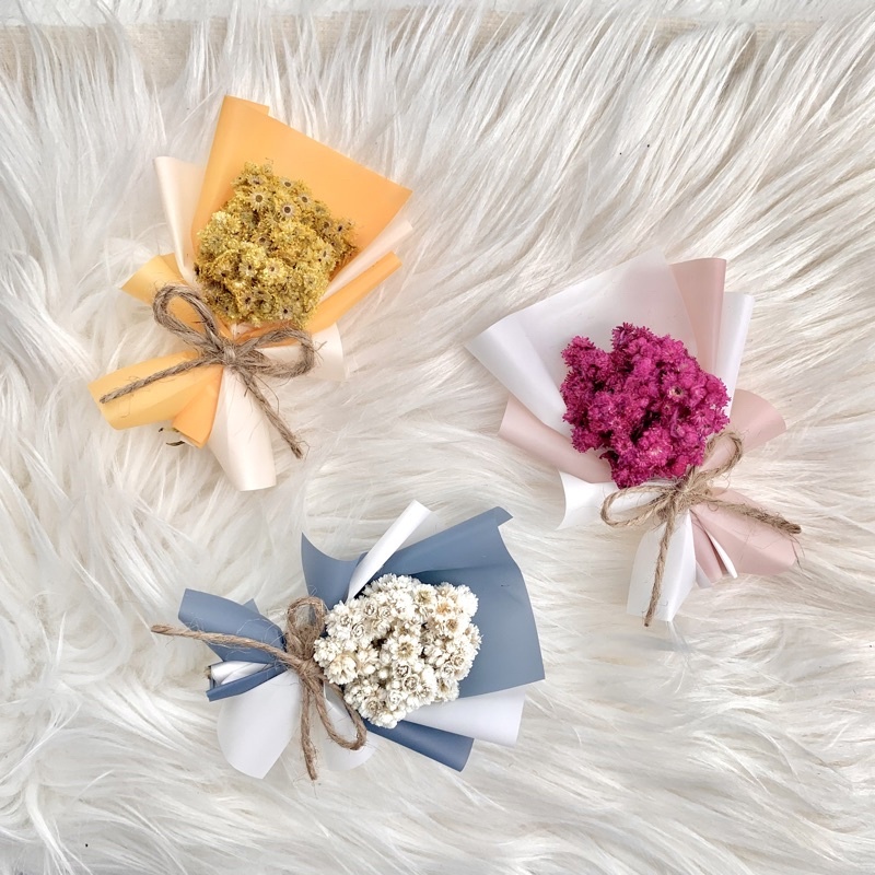 5pcs Bucket mini edelweis | mini buket edelweis | mini buket dried flower | buket dried flower | bou