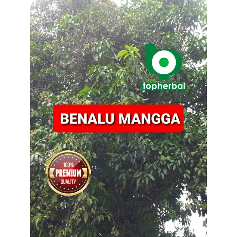 

Benalu Mangga Kering 1000 Gram