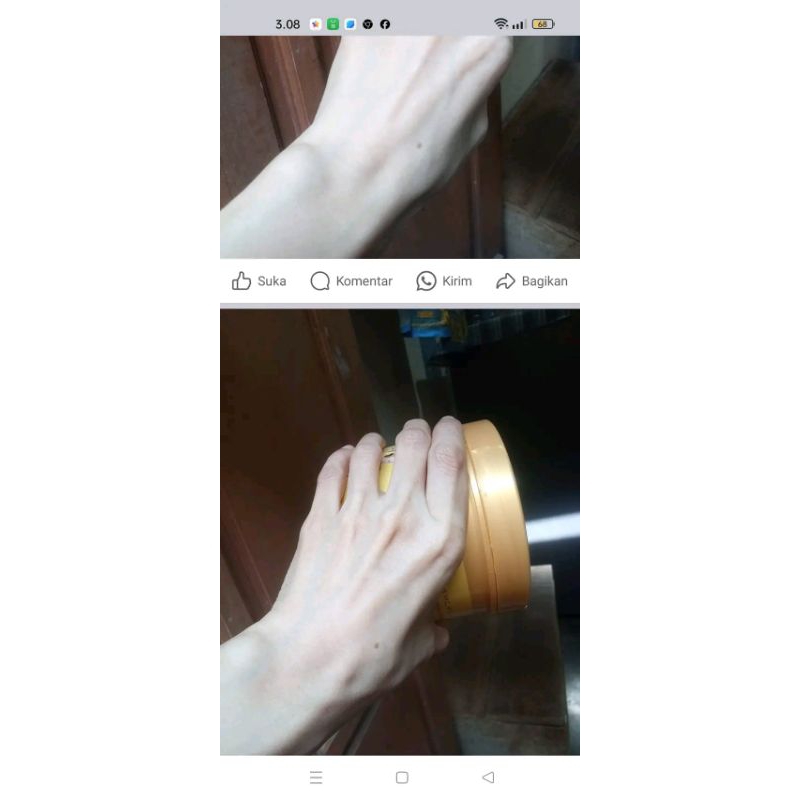 Bibit pemutih thailand