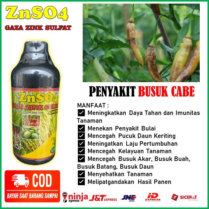 Pupuk Anti Busuk Buah Cabe - ZnSO4 Gaza Zink Sulfat Pupuk Organik Mencegah Busuk Buah Cabe Rawit - M