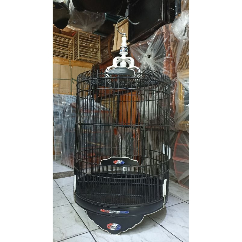 KANDANG MURAI RAFI JAYA LIS AKLIRIK