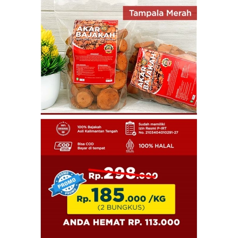 BAJAKAH TAMPALA MERAH
