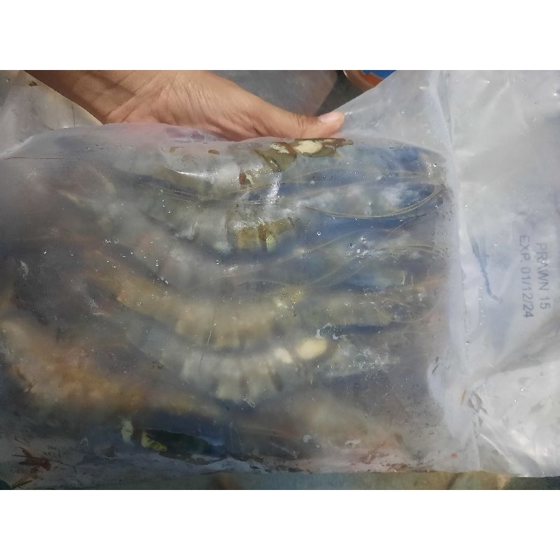 

udang pancet segar frozen 1 kg