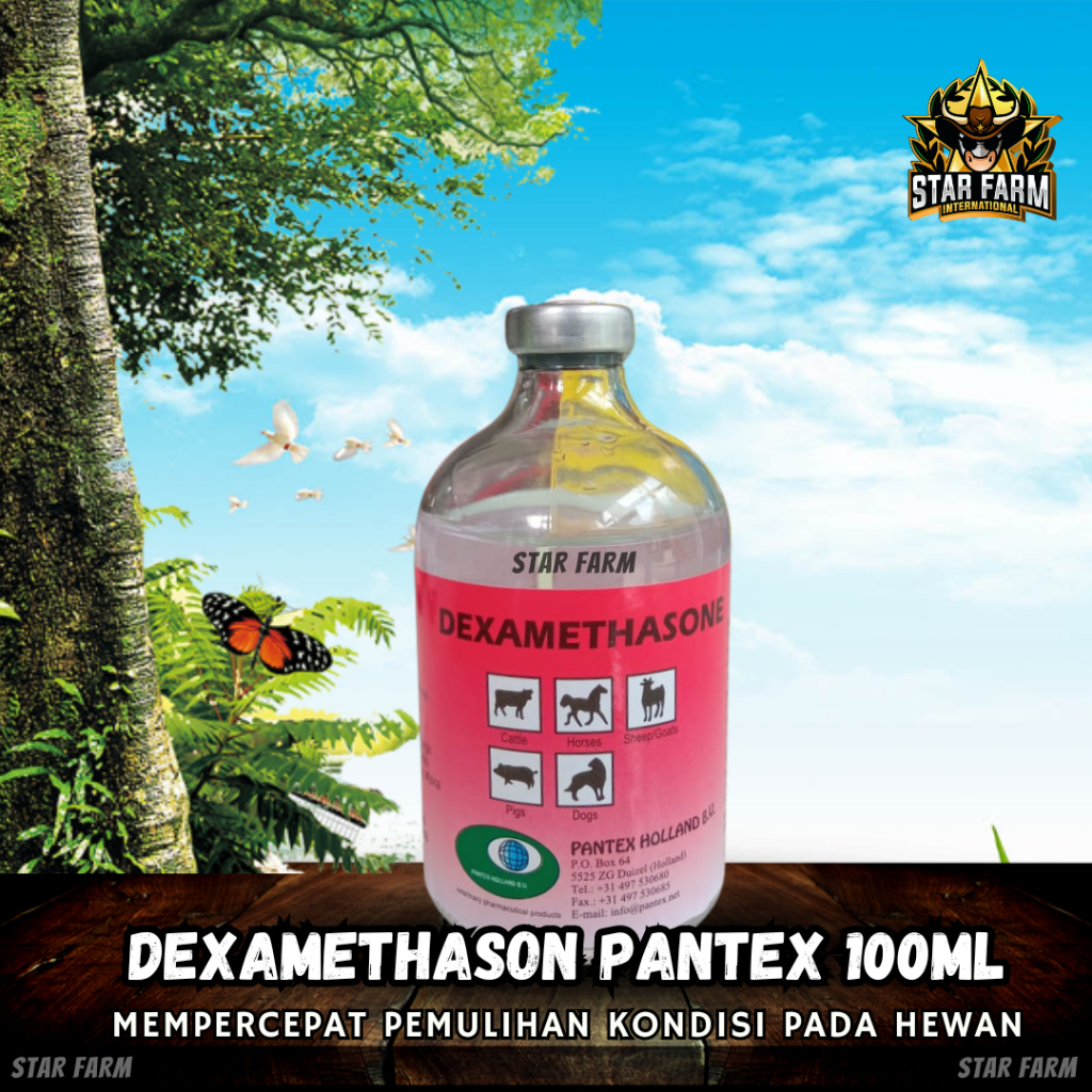 Dexametason 100 ml Pantex Holland - Star Farm