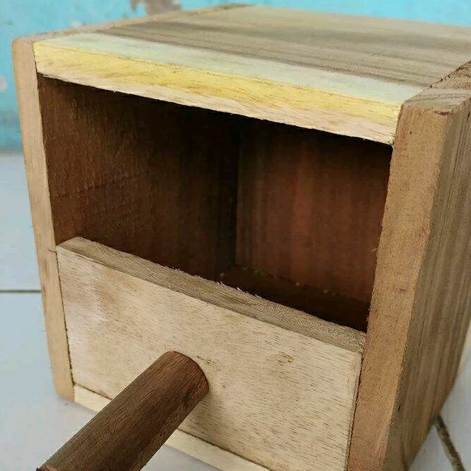 Glodok Finch / Emprit / Gelatik Ternak Sukses