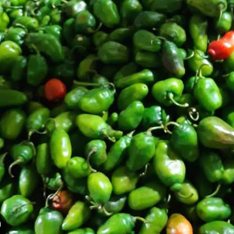 

Cabe gendot 250g , 100g