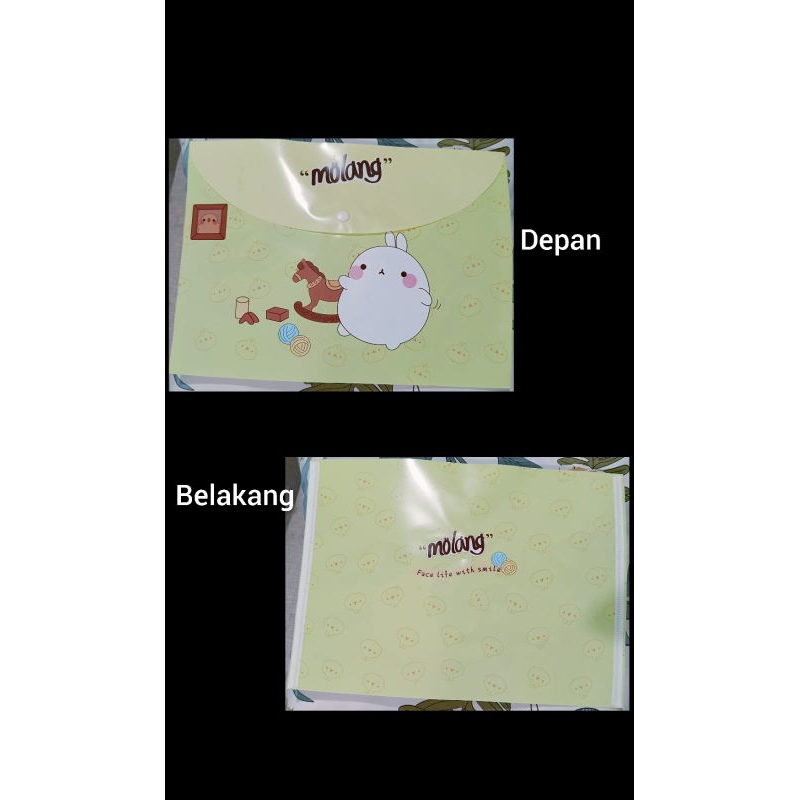 

Map Plastik karakter Molang