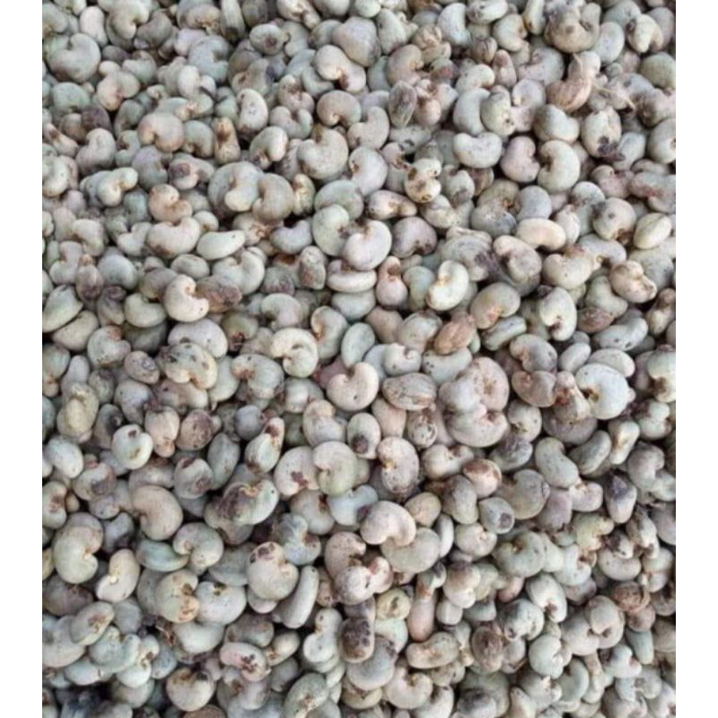 

kacang mete/mede gelondong asli wonogiri 1kg