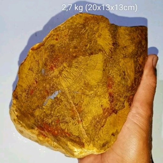 2,7 kg batu fosil liwung macan (361)