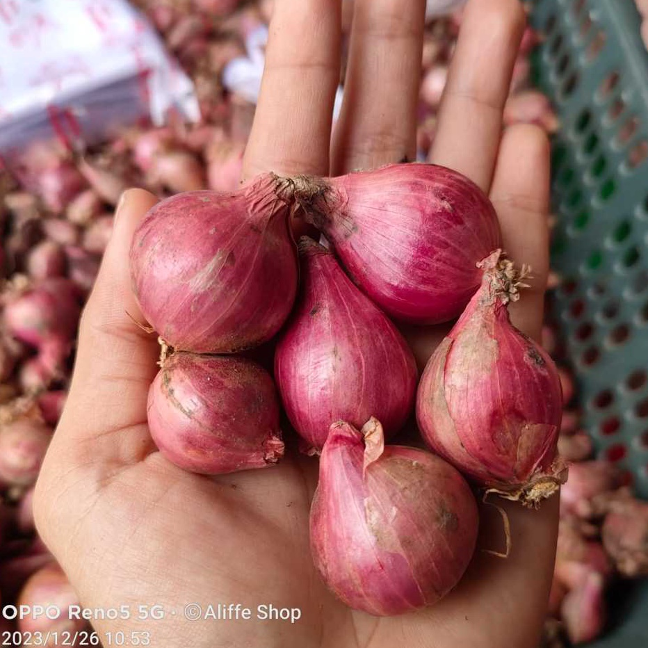 

Free Ongkir 1KG Bawang Merah