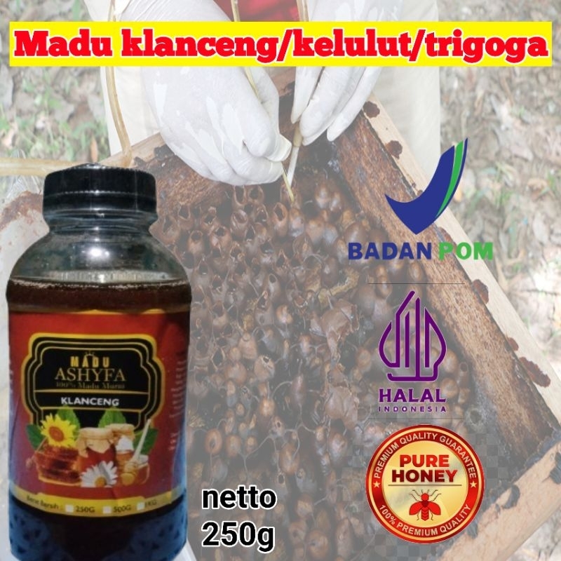 

Madu klanceng/madu kelulut/madu trigona sp
