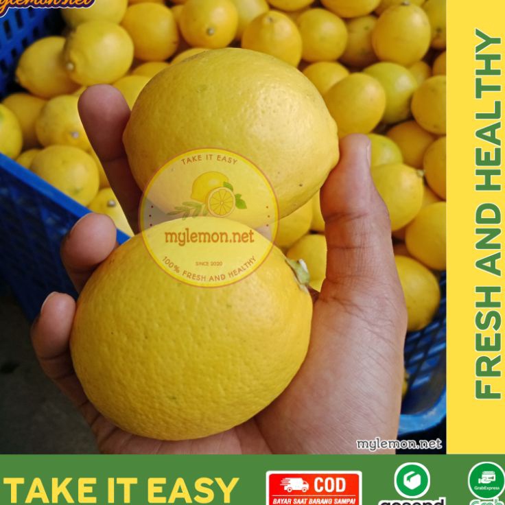 

Terlaku Lemon California Fresh 1 Kg 1 gram Isi 813 Cocok Untuk Infused Water MYLEMONNET
