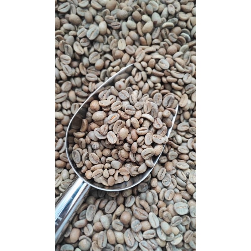 

GREEN BEANS | KINTAMANI