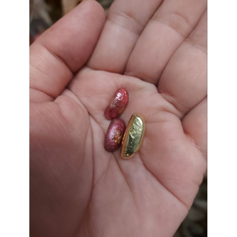 Takrut 3 in 1 Leklai Suriyan Raca Gold Silver Natural Lp Somporn Blessed Best Ptotect Ricky Wealth T