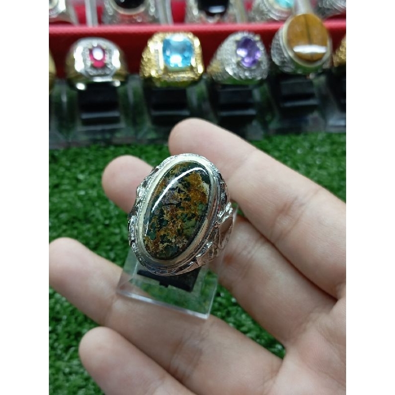 pirus Persia hitam lawasan