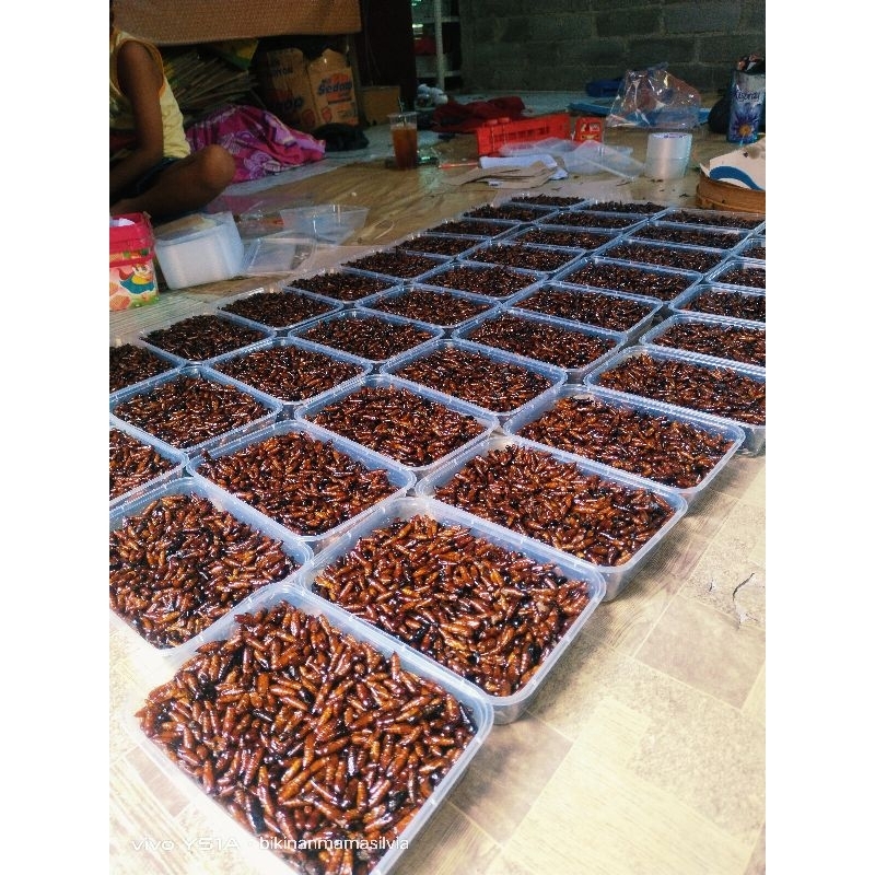 

Ungker jati entung jati bebas pilih rasa gurih, pedas Gurih, Pedas Manis ungkrung jati kepompong jati matang kering kriuk gunungkidul termurah