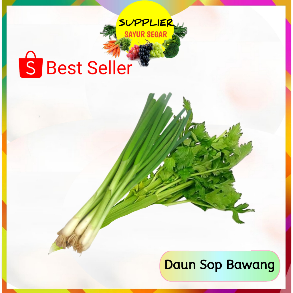 

Daun Sop Bawang - Supplier Sayur Sayuran Segar Palembang