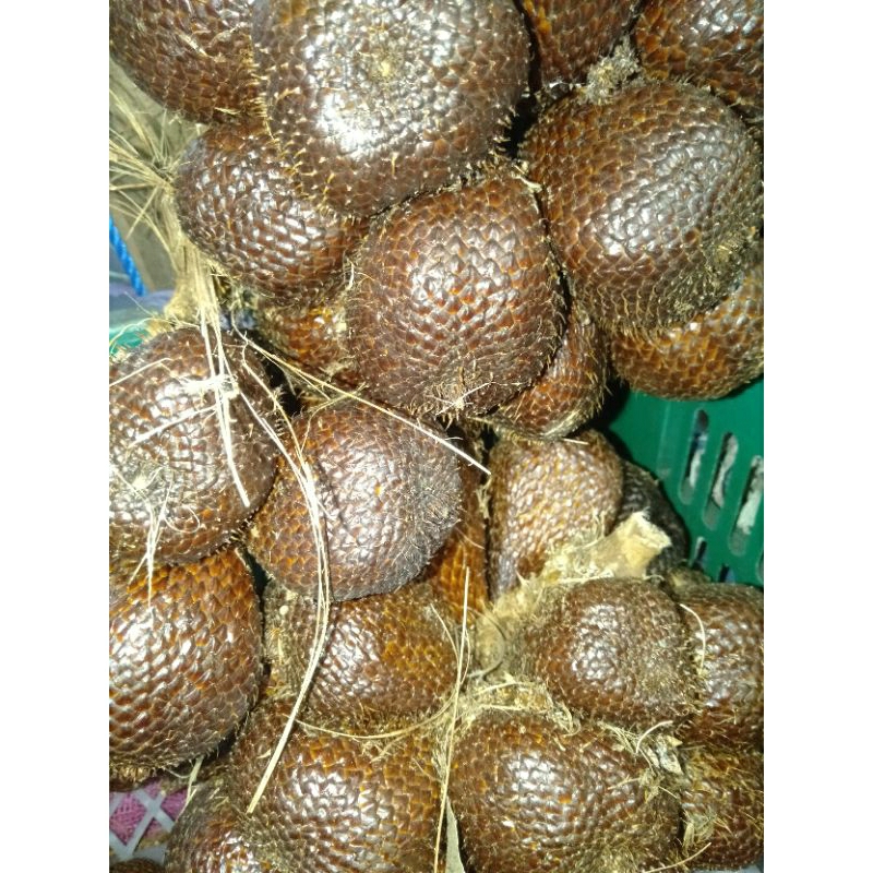 

BUAH SALAK MANIS SEGAR