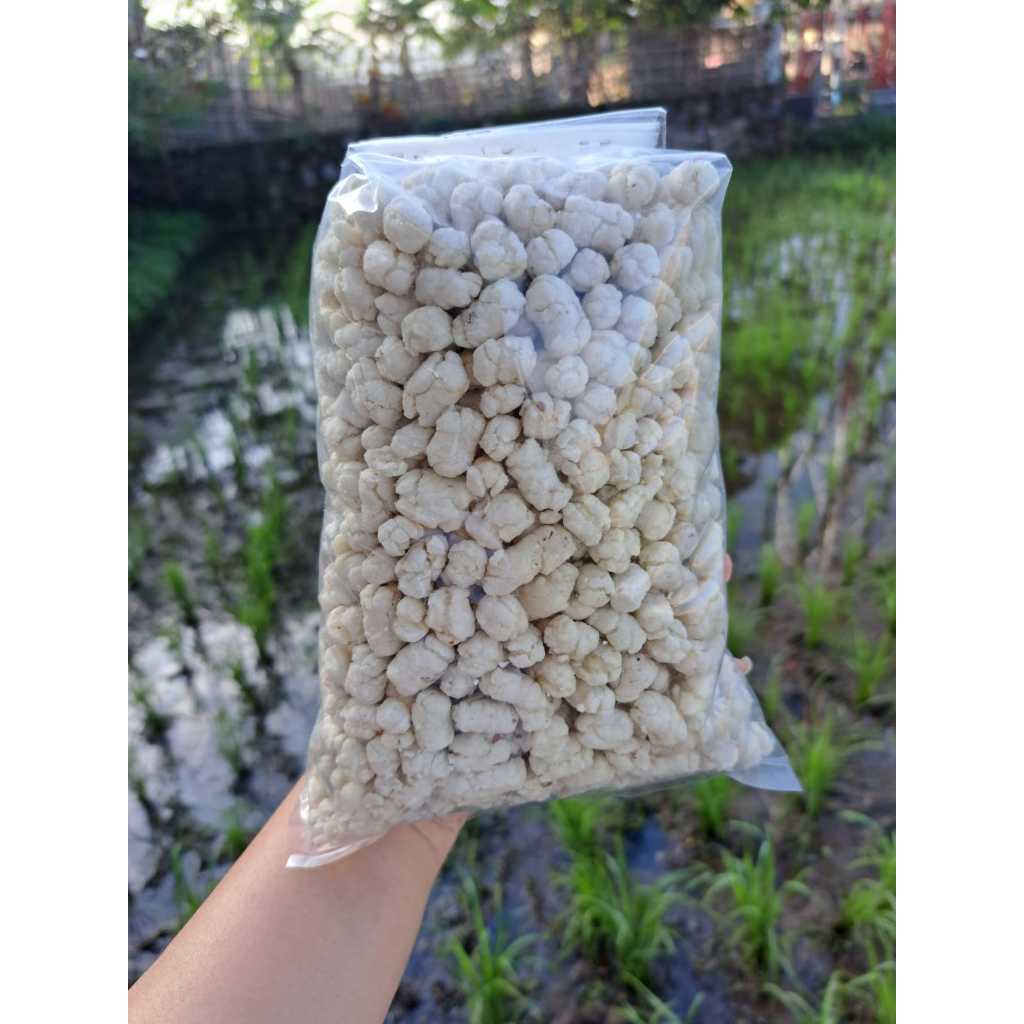 

Pilus Cikur / Tiktak Cikur 500gr