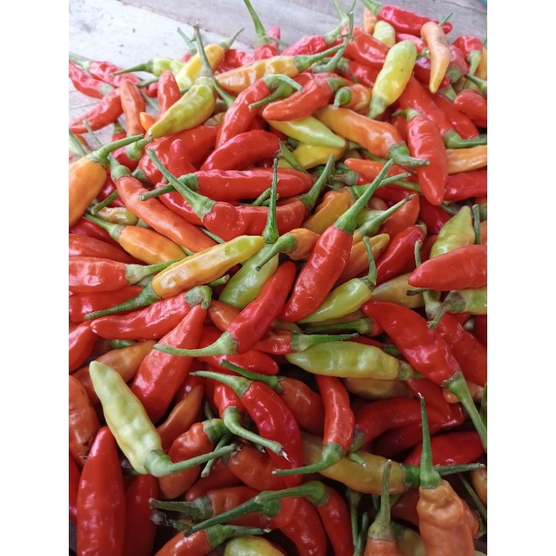 

cabe caplak fresh 500g (organik)