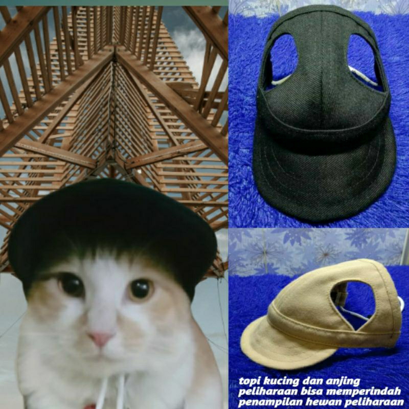 topi kucing dan anjing hewan peliharaan /aksesoris hewan
