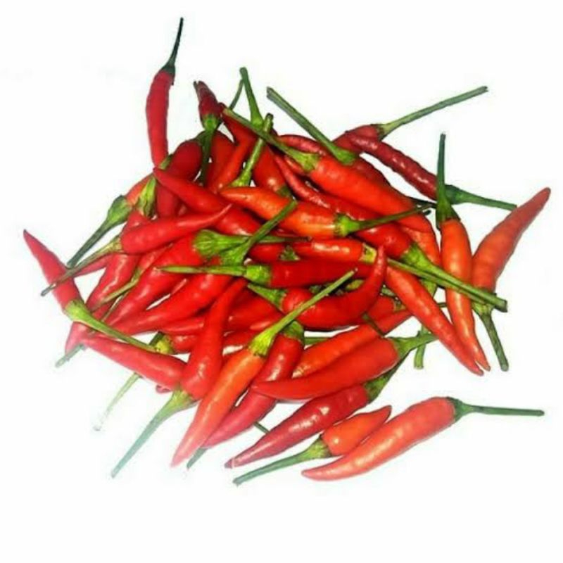 

Cabe Rawit Merah 500gr