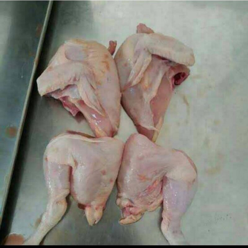 

ayam tg ayam muda ayam tege fresh bandung