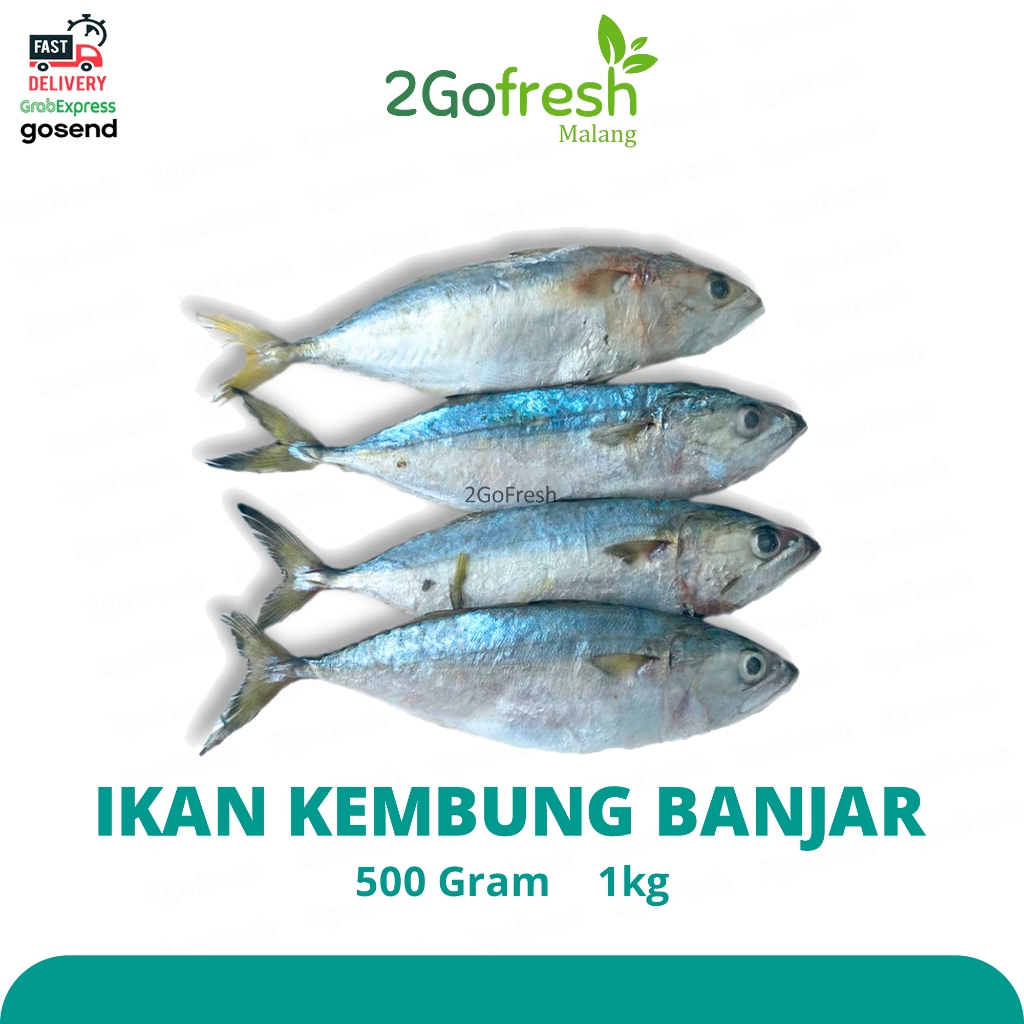 

Ikan Kembung Banjar / Banyar Fresh - Sayur Sayuran