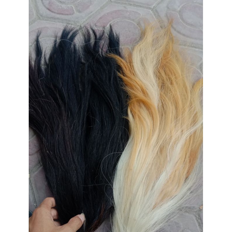 EKOR SAPI (rambut barong) harga terlengkap