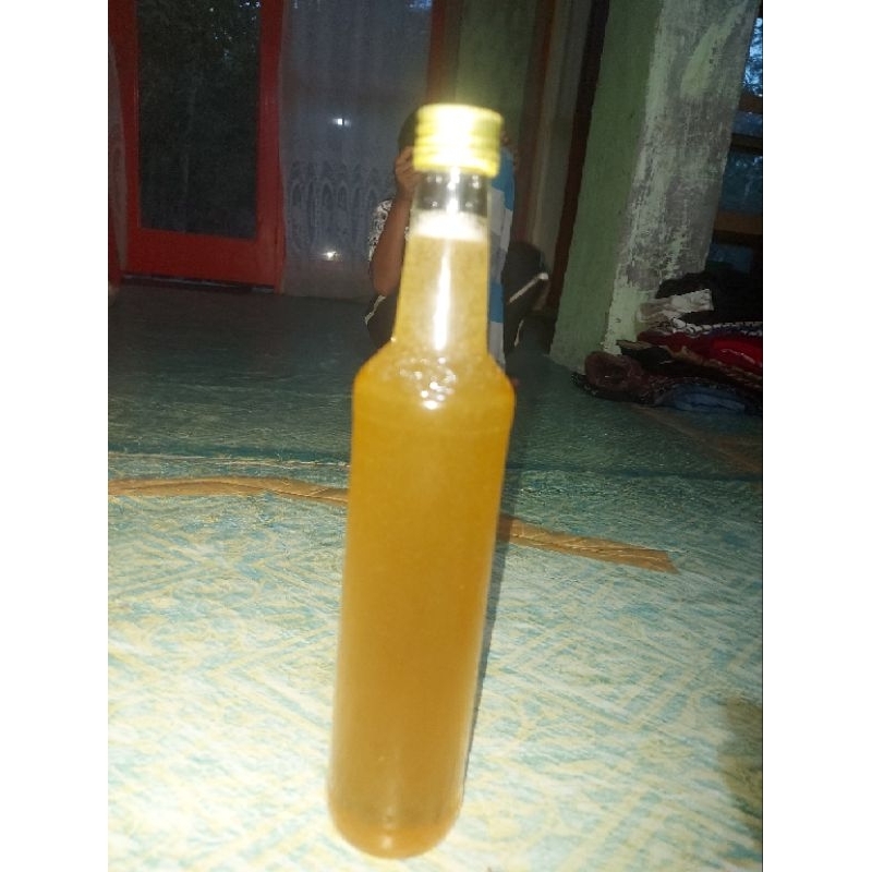 

madu asli hutan (apisdorsata)