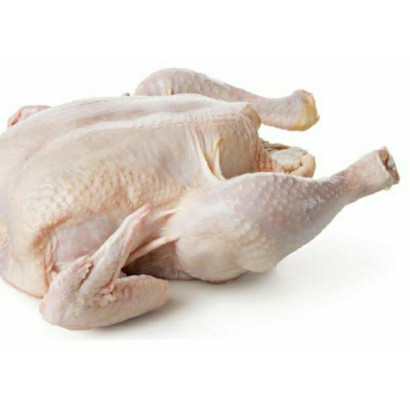 

ayam segar