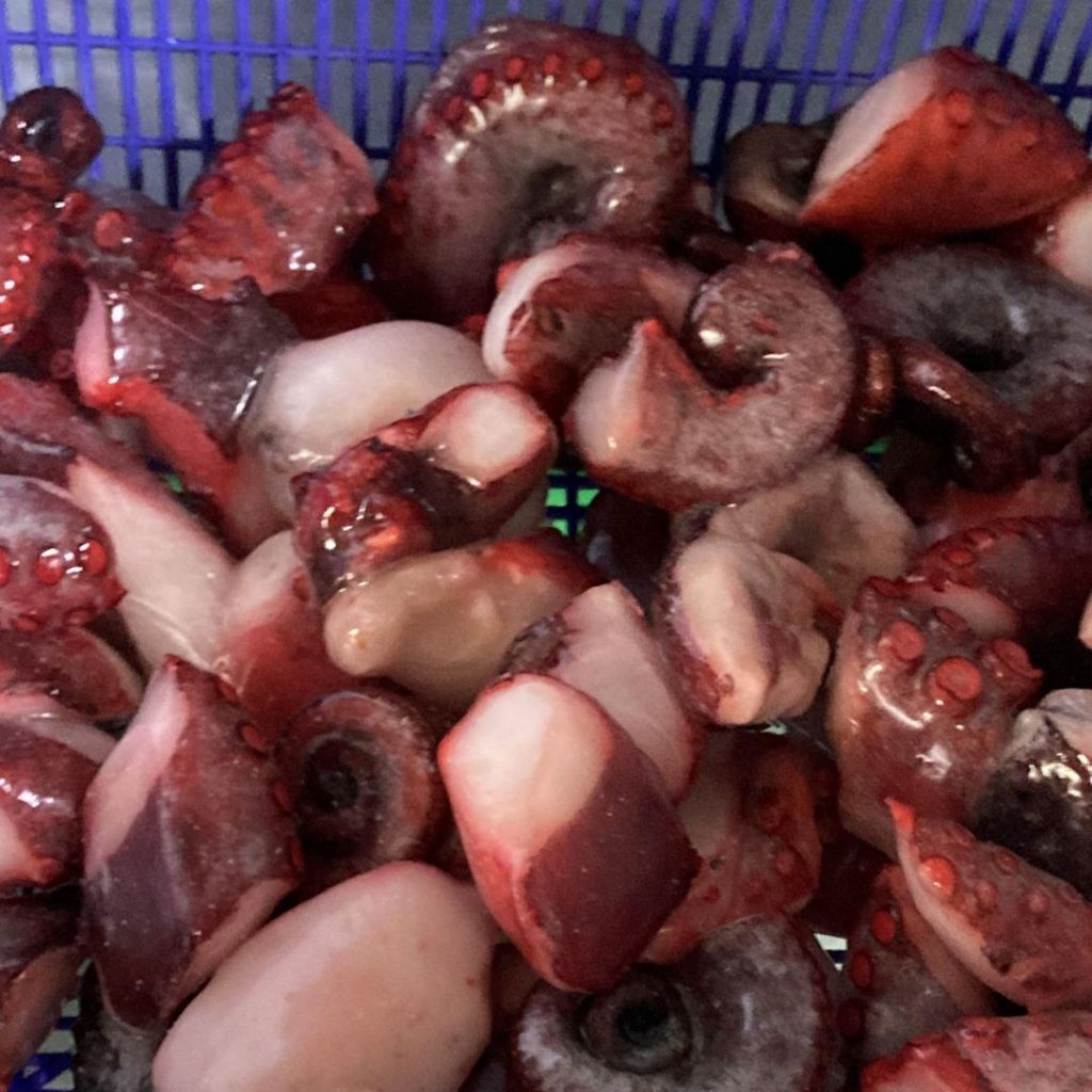 

Ay00! Gurita Potong Besar Campuran Kepala & Badan Rebus