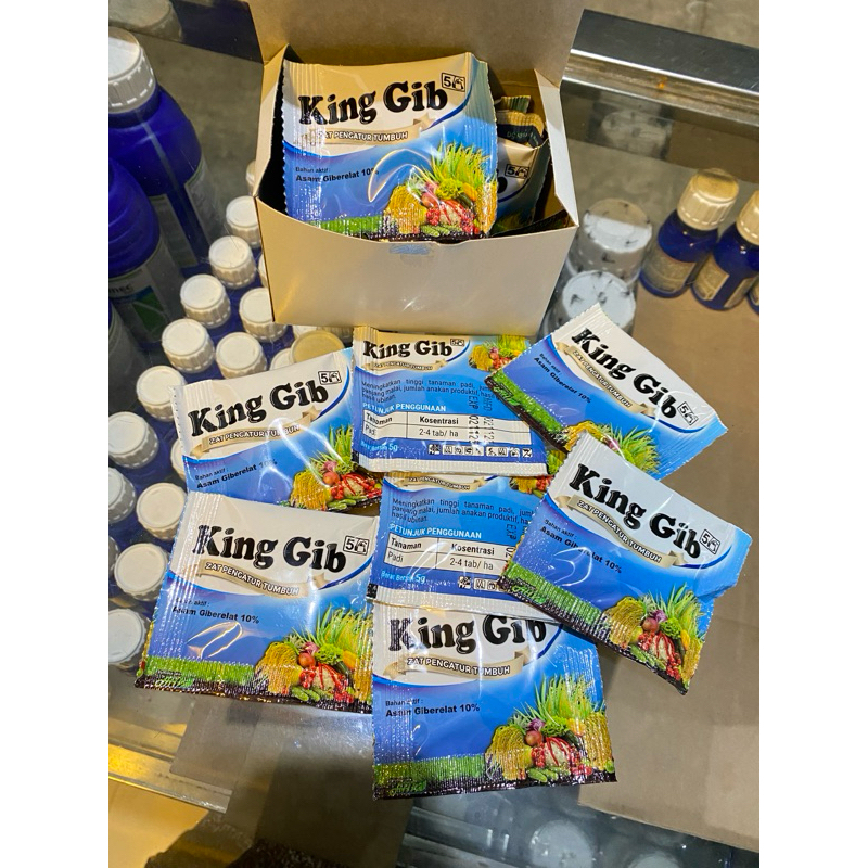 King Gib Zat Pengatur Tumbuh (ZPT)