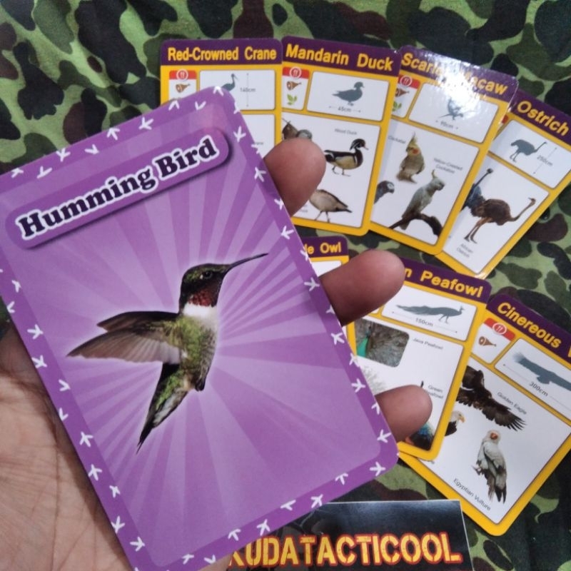 kartu kwartet jadul burung birds unggas kartu jadul edukasi bahasa inggris burung unggas vintage toy