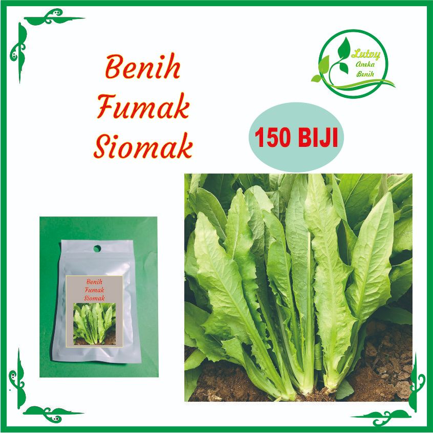 BENIH SAYUR FUMAK ISI 150 BIJI