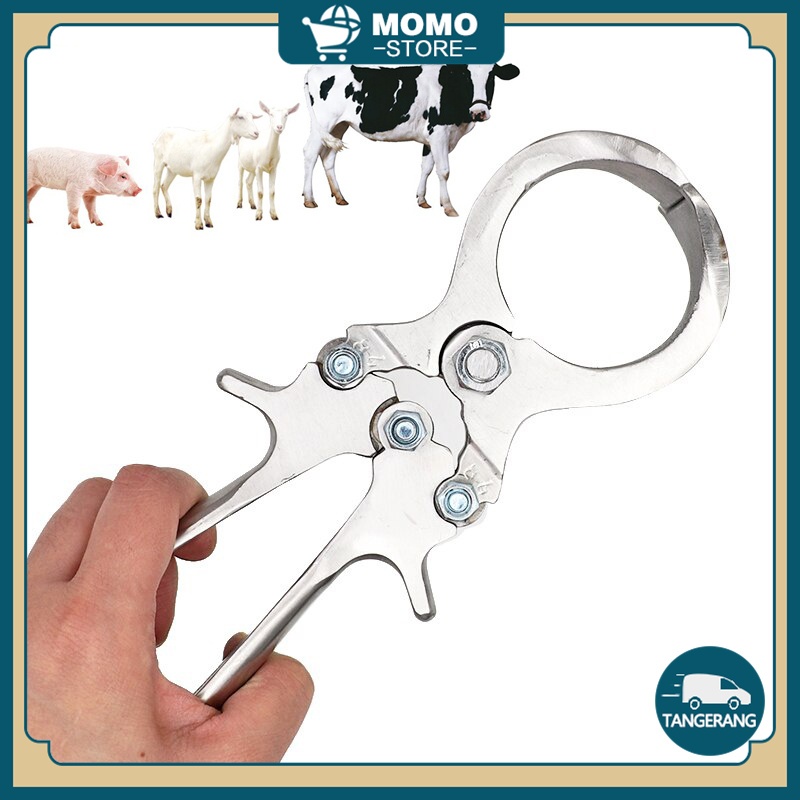 Tang Kastrasi Stainless Steel Alat Kastrasi Hewan Less Bleeding Untuk Sapi Domba