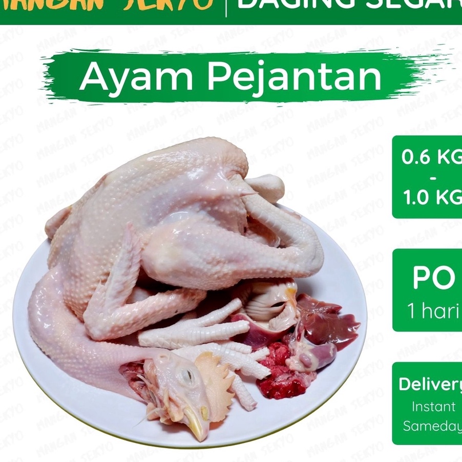 

KJLQ9598 STOK SIAP COD Ayam Pejantan Segar Ayam Pejantan Fresh