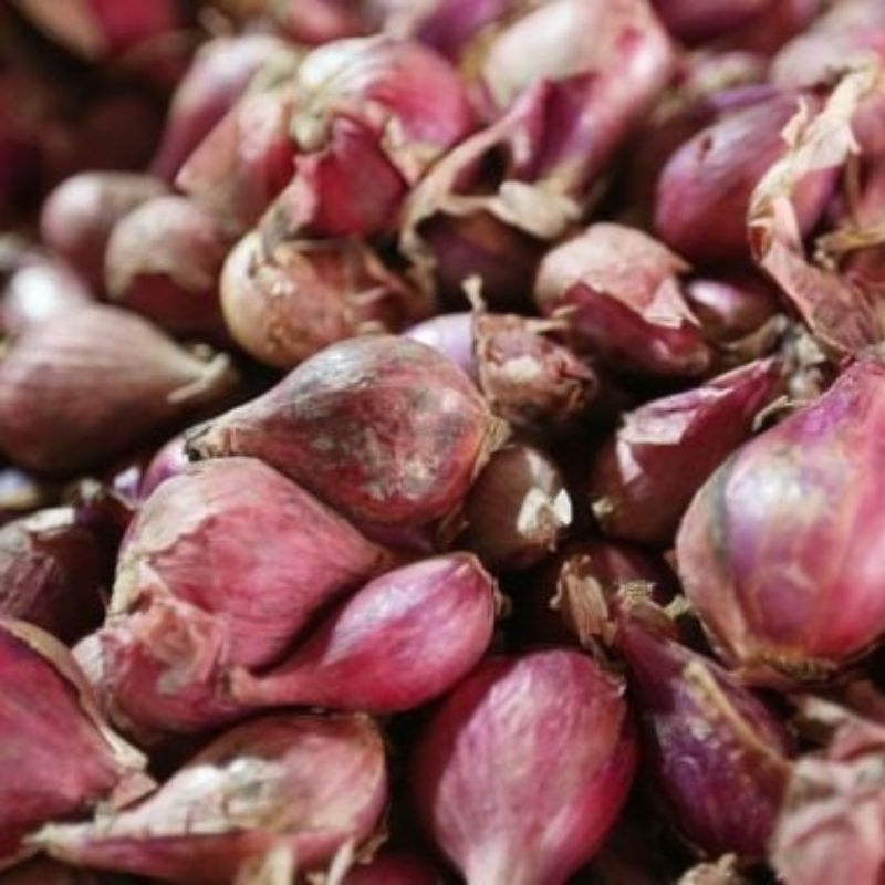 

Bawang Merah Produk Lokal Campur 1 Kg