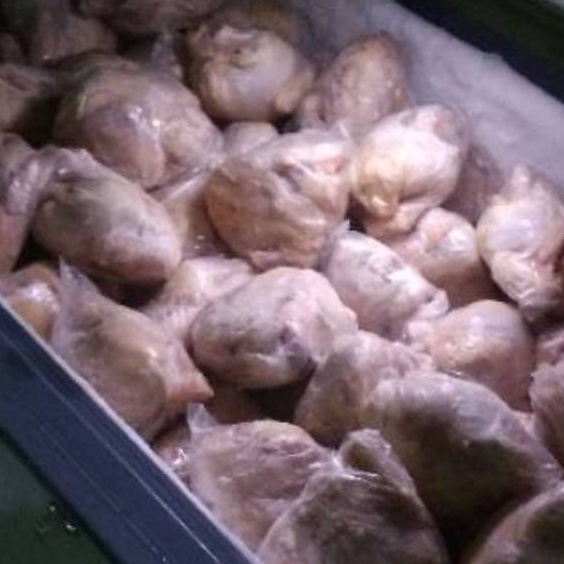 

RJRX4722 MEGA SALE Ayam Broiler karkas frozen segar 5 gr sd 1 gr