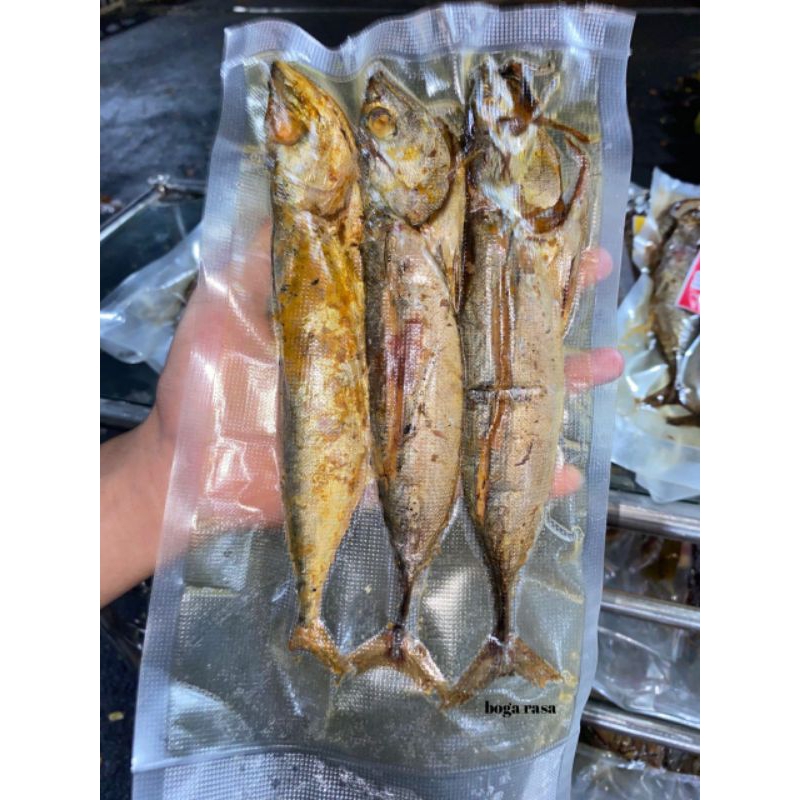 

ikan Salem segar siap masak