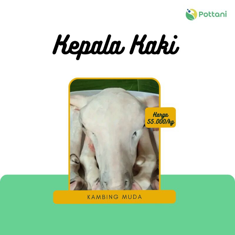 

Kepala Kaki Kambing Muda / Kepala / Kaki / Kambing