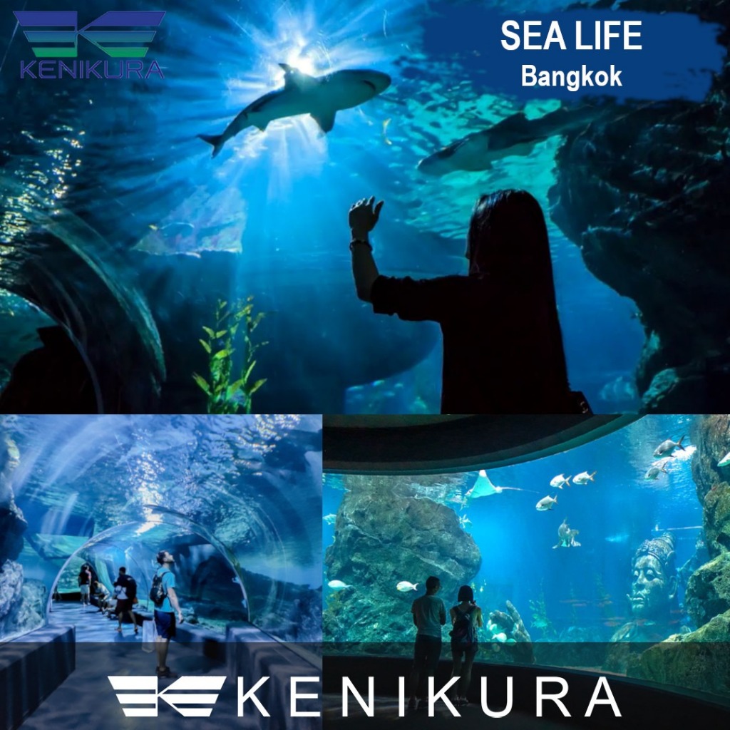 Sea life Bangkok ocean World + Madame Tussaud tiket Thailand ticket aquarium