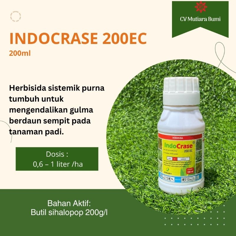 HERBISIDA | INDOCRASE 200ml | OBAT RUMPUT BERDAUN SEMPIT PADA TANAMAN PADI