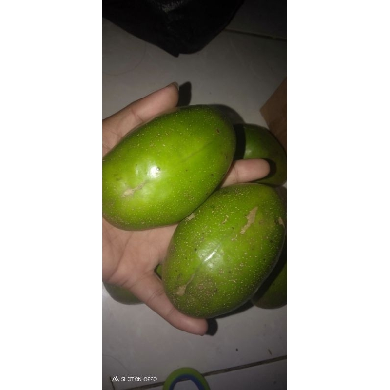 

buah kedondong fres 2 kg