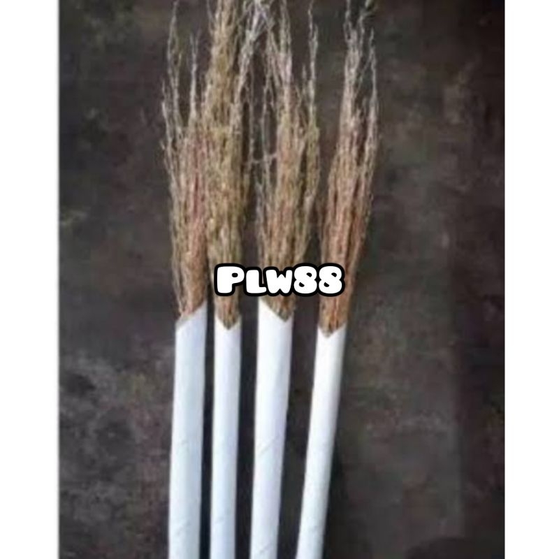 Merang ketan hitam jerami ketan hitam perikat pilihan