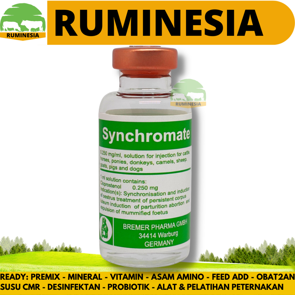 Hormon PGF2 SYNCHROMATE (20 ML) CLOPROSTENOL (sama dengan Lutalyse)