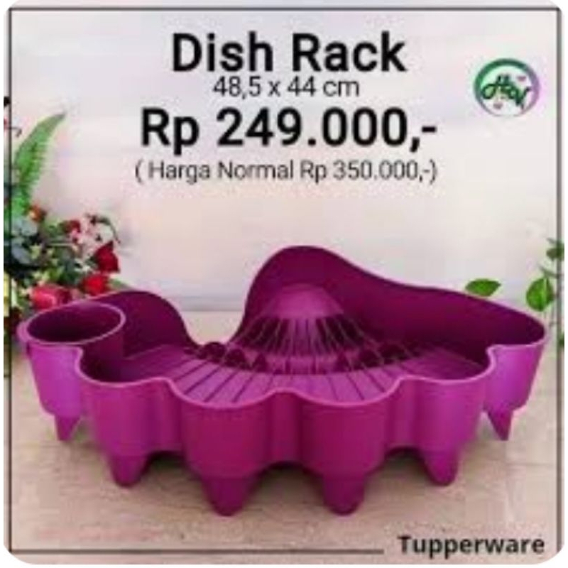 Dish Rack Tupperware new dan ori