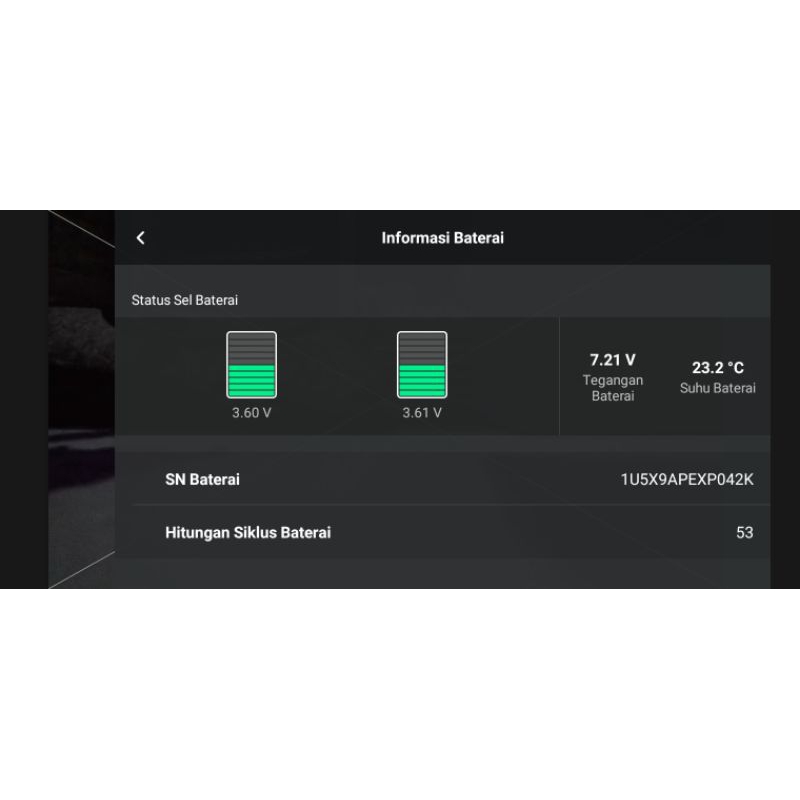 Drone Dji Mavic Mini Fcc