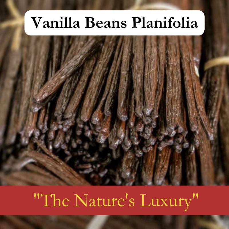 

Vanilla Beans 10-50 gr (Planifolia)