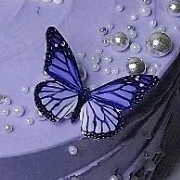 

Additional topper gambar butterflies